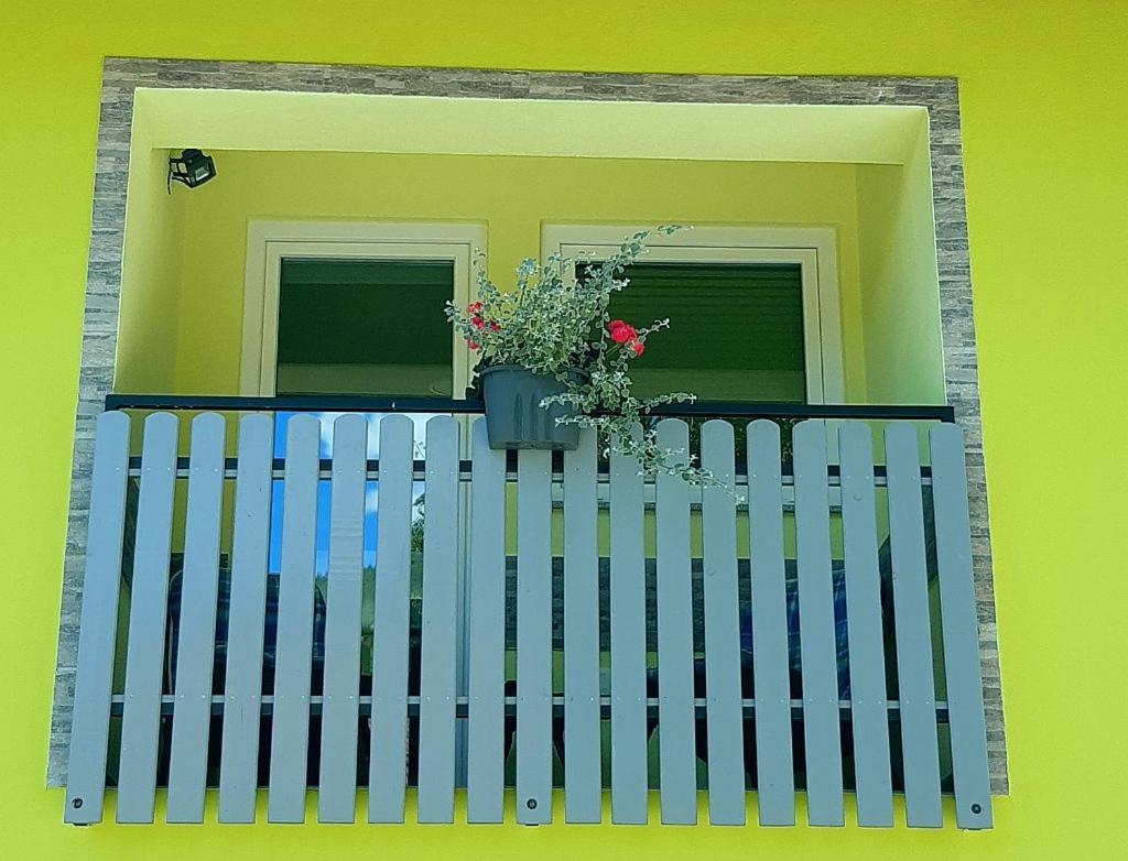 Apartament Hisa Planica Kobarid Zewnętrze zdjęcie